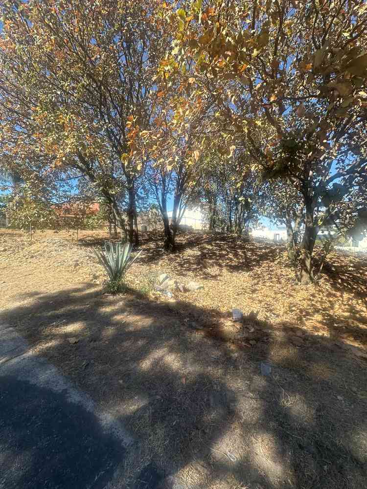 terreno en venta boulevard bugambilias bugambilias zapopan jalisco peTJEb7