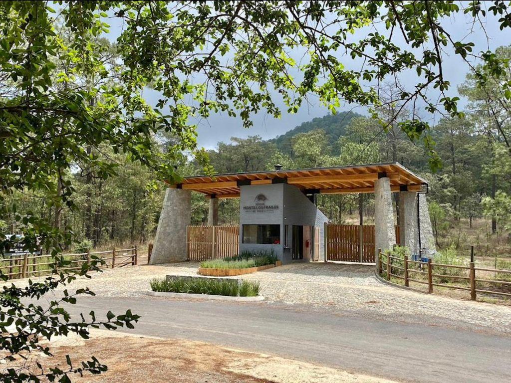 Foto de la galeria de imagenes