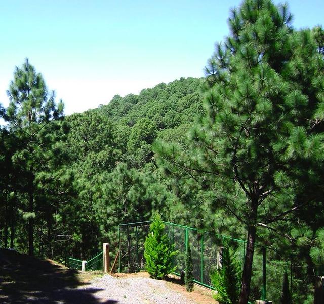 Foto de la galeria de imagenes