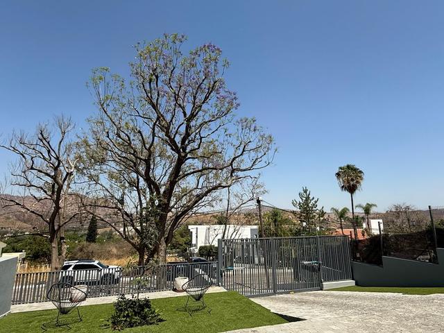 Foto de la galeria de imagenes