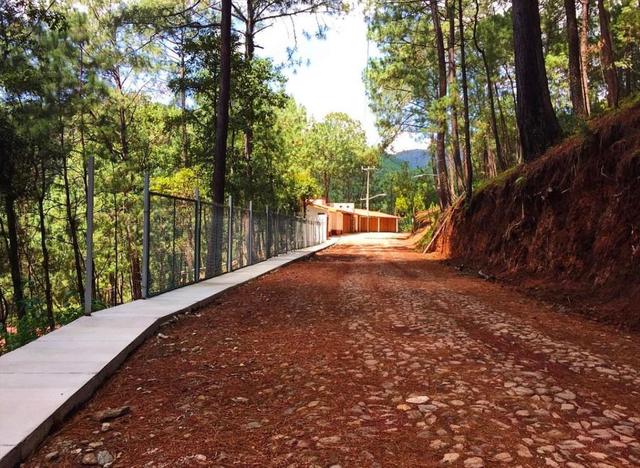Foto de la galeria de imagenes
