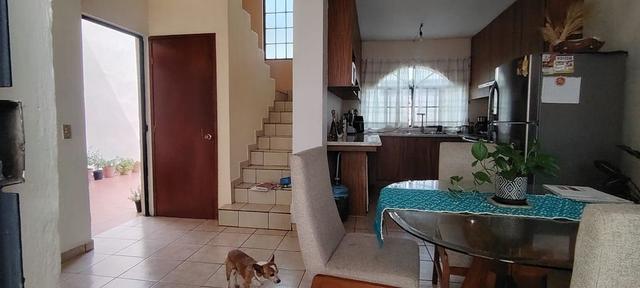 Foto de la galeria de imagenes