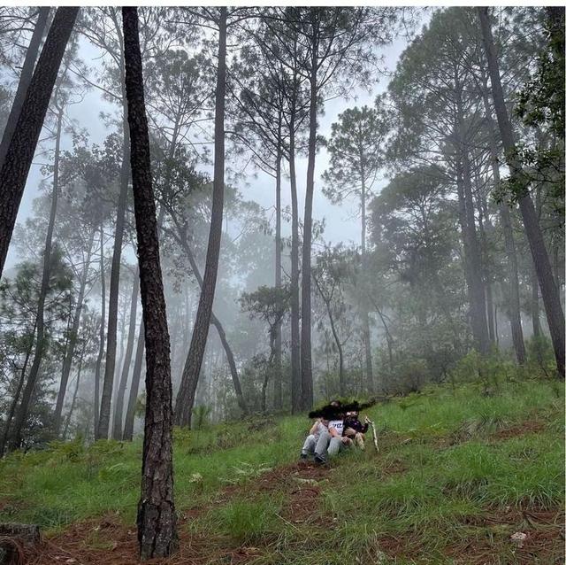 Foto de la galeria de imagenes