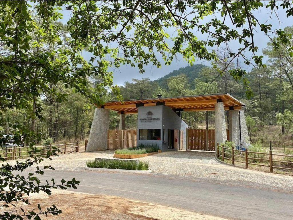 Foto de la galeria de imagenes