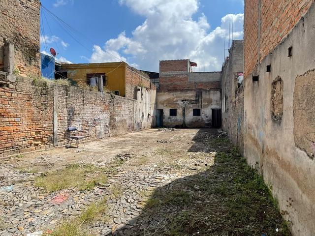 Foto de la galeria de imagenes
