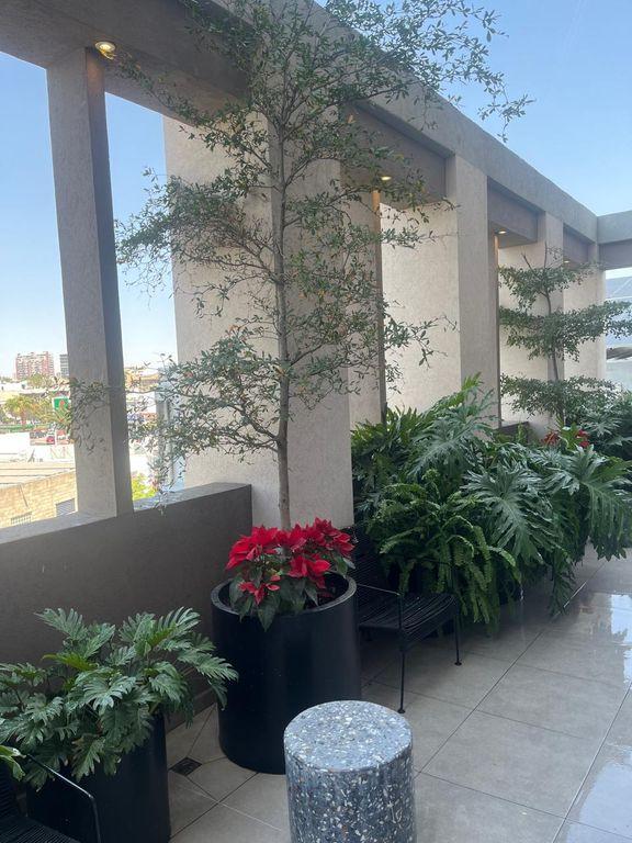 Foto de la galeria de imagenes