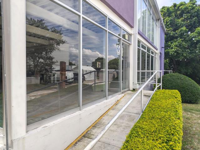Foto de la galeria de imagenes
